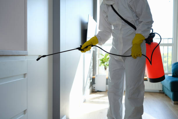Best Mold Remediation for Schools in Aberdeen Proving Ground, MD