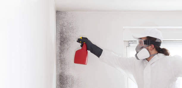 Best HVAC Mold Remediation in Aberdeen Proving Ground, MD