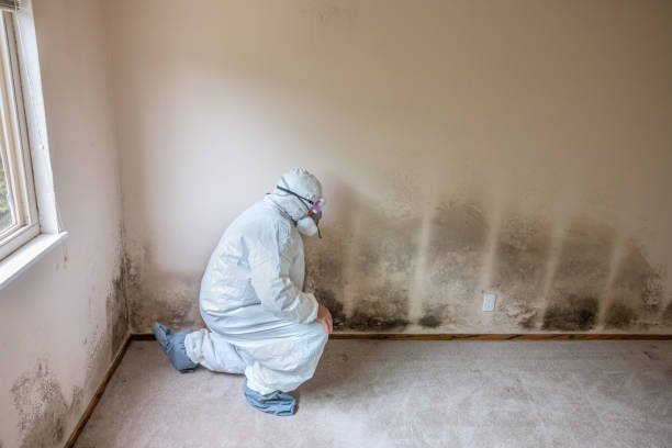 Best Health and Safety Mold Remediation in Aberdeen Proving Ground, MD