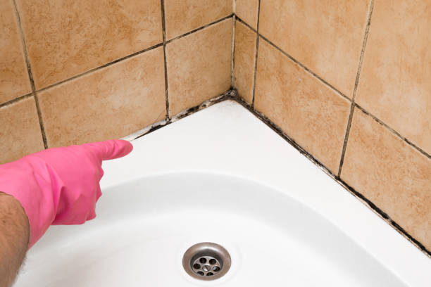 Best DIY Mold Remediation Support Services in Aberdeen Proving Ground, MD